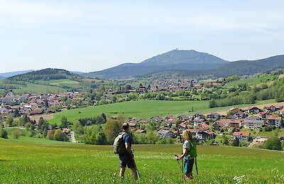 Wandern im Lamer Winkel / Bayerischer Wald